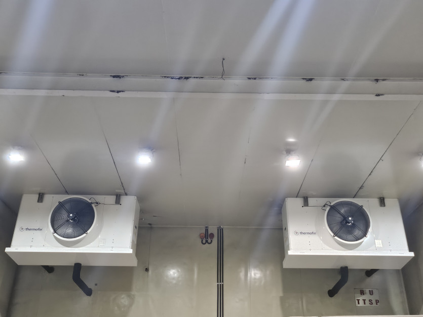 73d7732723d7cbfb0fb2e4397b77709d_1779843756_5269.jpg
