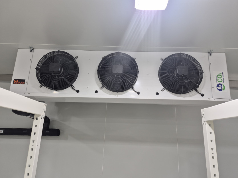 73d7732723d7cbfb0fb2e4397b77709d_1779847515_5142.jpg